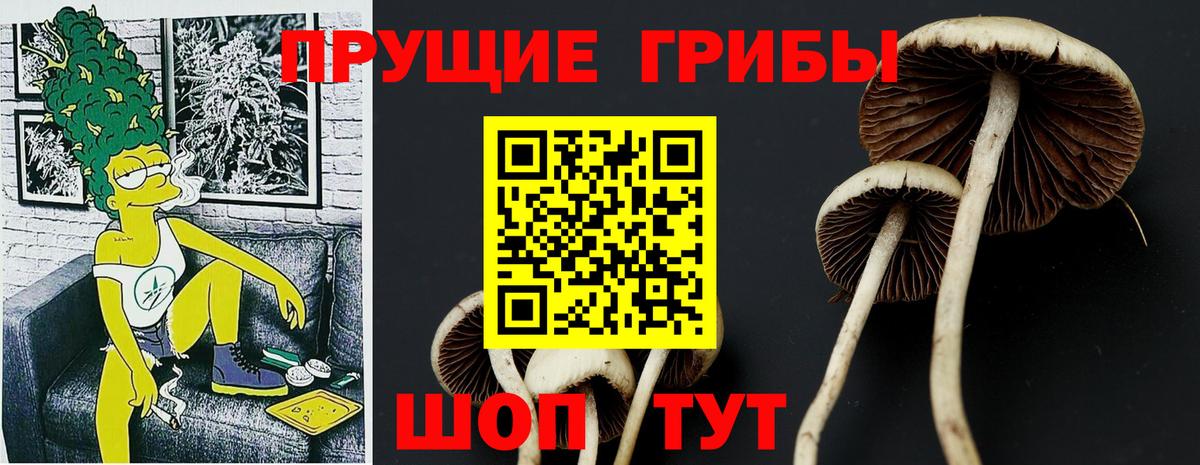Тобольск  Галлюциногенные грибы Psilocybe  Вход с VPN 