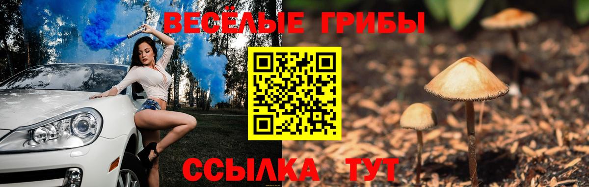 Галлюциногенные грибы мицелий Тобольск